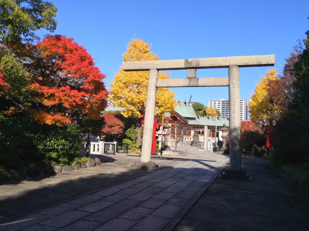 神社境内｜2024年12月1日